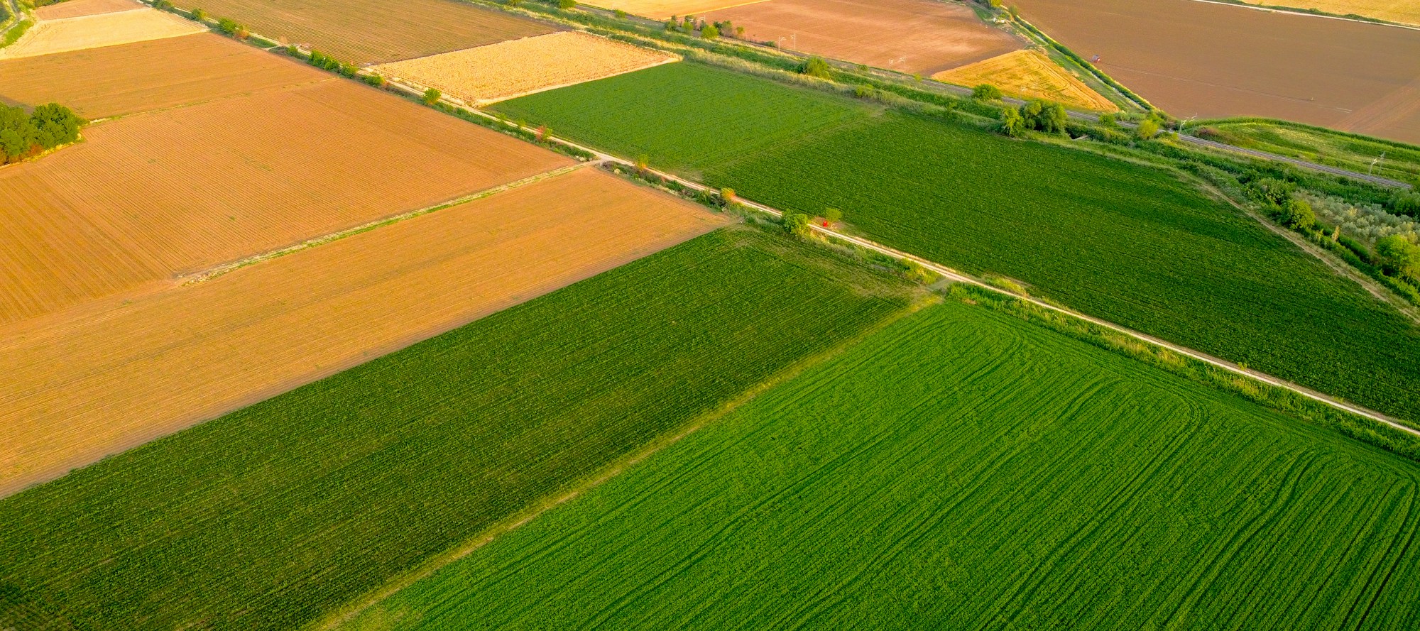 Cultivated land and field boundaries